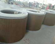 PTFE-Mesh-Conveyor-Belt